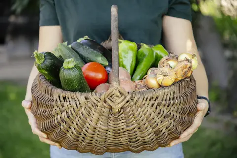 Panier en osier rempli de légumes frais : courgettes, poivrons, tomate